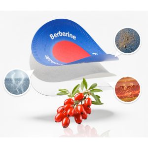 abnehmpflaster höhle der löwen